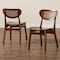 Baxton Studio Hesper Mid-Century Modern Walnut Brown Finished Wood and Rattan 2-Piece Dining Chair Set 239-2PC-13411-ZORO - alternate 9